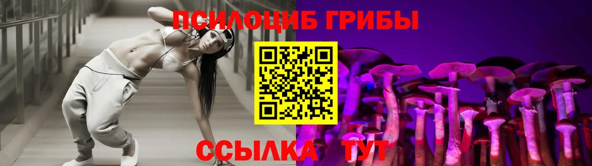 Асино  Псилоцибиновые грибы ЛСД  Вход с VPN  Псилоцибиновые грибы ЛСД 